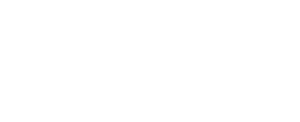 A&FB Transporte Executivo